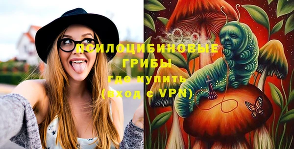бошки Верхний Тагил