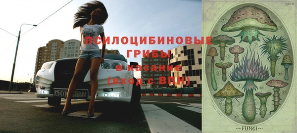 MESCALINE Верея