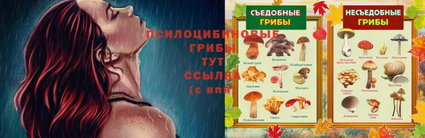 MESCALINE Верея