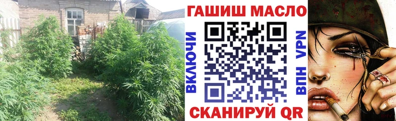 где продают наркотики  Муром  Дистиллят ТГК концентрат 