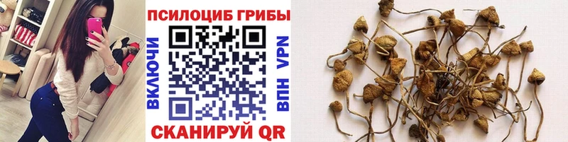 Псилоцибиновые грибы мухоморы кракен ССЫЛКА Муром